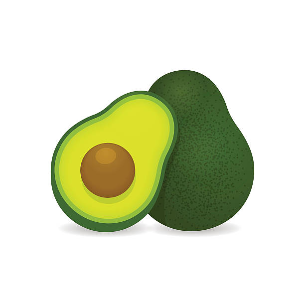 Realistic vector avocados illustration Realistic vector avocados illustration. Whole and cut avocado isolated on white background. avocado stock illustrations