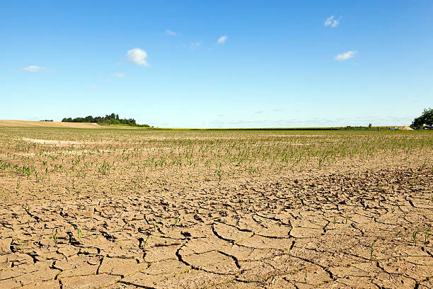 istock cracked earth in the field 578587246