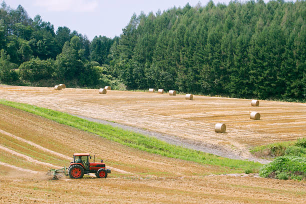 Furano, Japan - August 14, 2015: There is a grassland in Hokkaido, Japan. A farmer driving a tractor in the field. There are some of blocks of harvested grass on the field. 