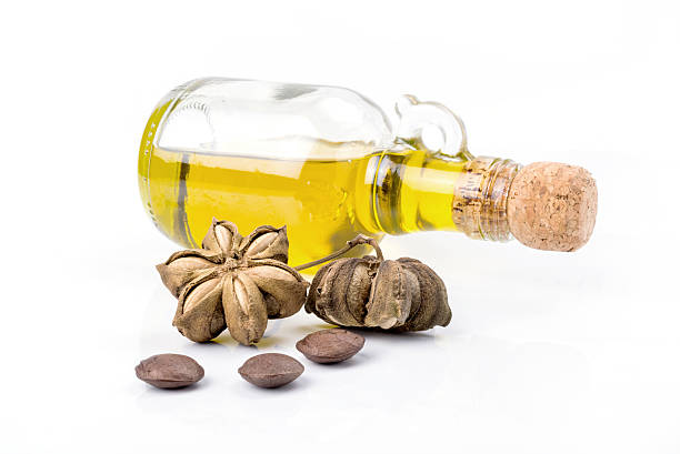 istock Image of sacha inchi peanut seed 578589076