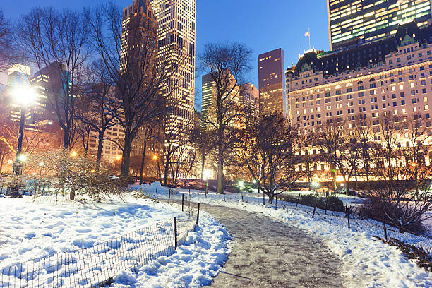 istock Winter in Central Park NYC 578589762