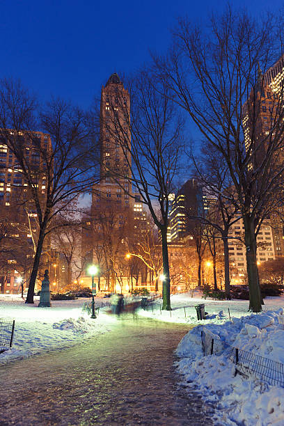 istock Winter in Central Park NYC 578589788
