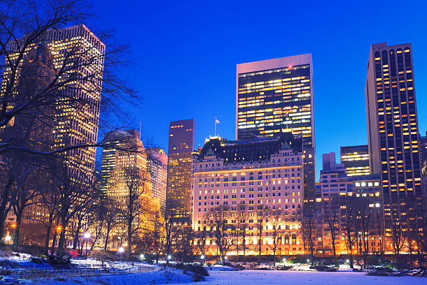 istock Winter in Central Park NYC 578589816
