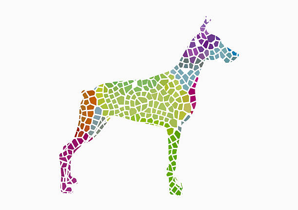 This is my Doberman Pinscher Lexx, in the \