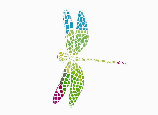 Abstract the dragonfly,Composed of color piece.