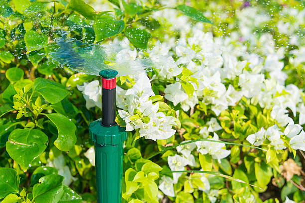 istock Water springer in the garden with plant 578593630