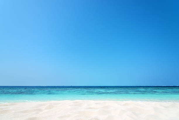 istock Tropical beach sand dune defocused blurred abstract background 578594550