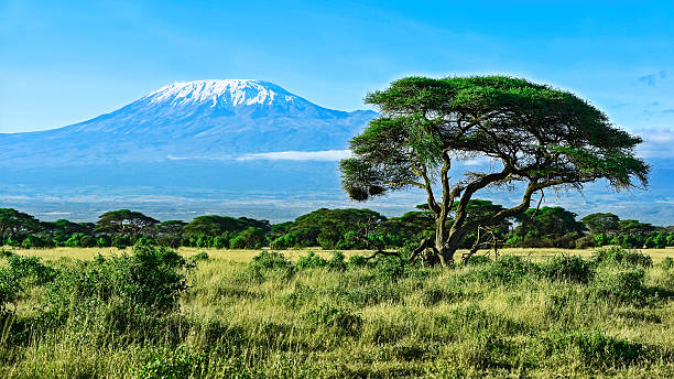 istock Mount Kilimanjaro in Kenya 578598058