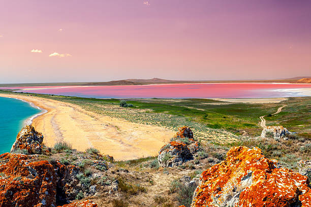 Panoramic view at Pink lake at sunset light