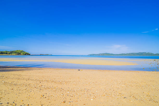 istock Surfer on Pretty beach and ocean with blue sky 578599776