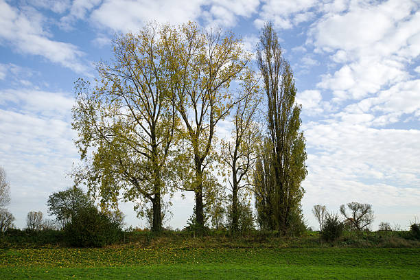 istock Autumn Color at Riverbank / Duesseldorf 578600760