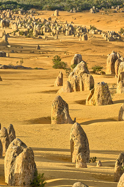 пиннакл пустыня  - australia desert pinnacle stone стоковые фото и изображения