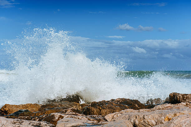 istock sea landscape on a background of blue sky. 578601496