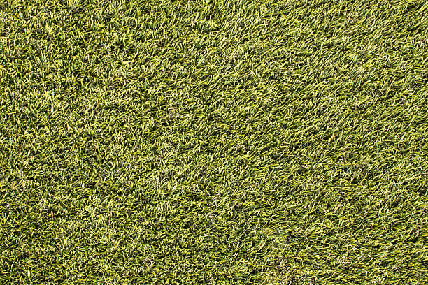 istock Beautiful green grass seamless. 578792774
