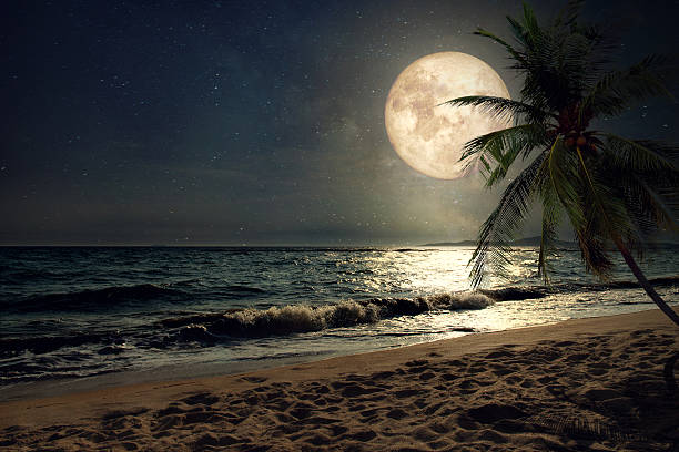 playa y luna llena - luz de la luna fotografías e imágenes de stock