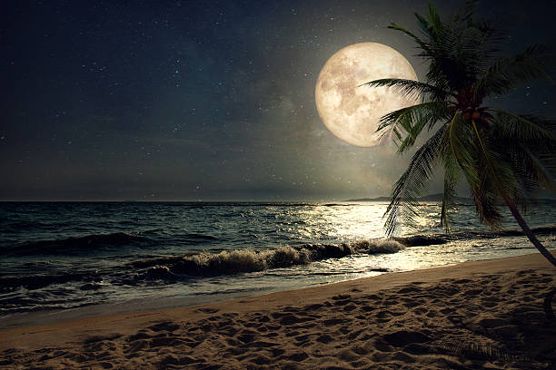 Photo of beach and full moon