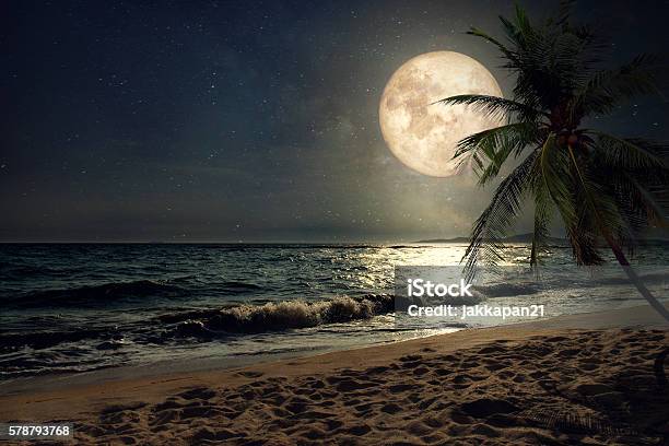Beach And Full Moon Stock Photo - Download Image Now - Night, Beach, Moon