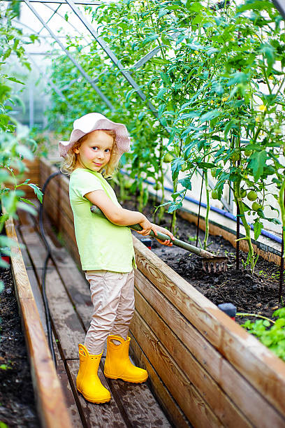 istock Little girl gardener 578795834