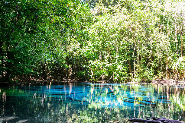 istock blue Pool (Sramorakot) Krabi province in Thailand 578797458