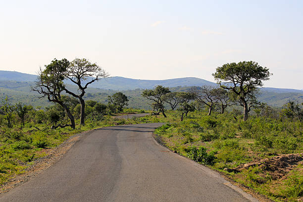 istock Hluhluwe Umfolozi Game Park 578797542