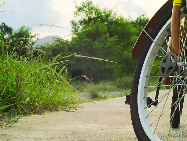 istock bicycle with trees and plants in the background 578798016