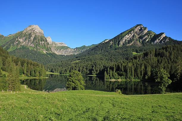 istock Idyllic lake Obersee and Mt Brunnelistock 578798992