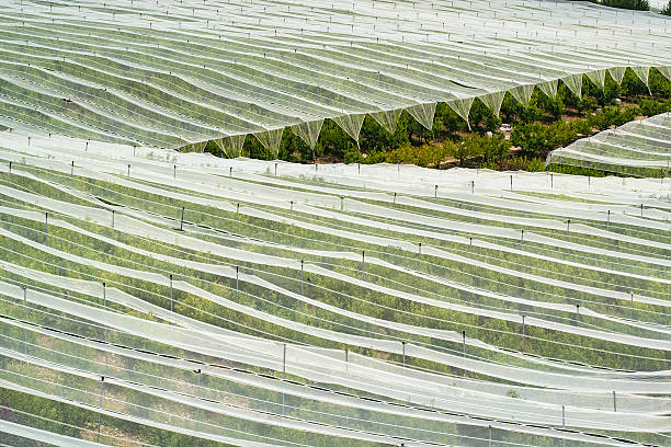 Plastic netting cover to protect agricultural land