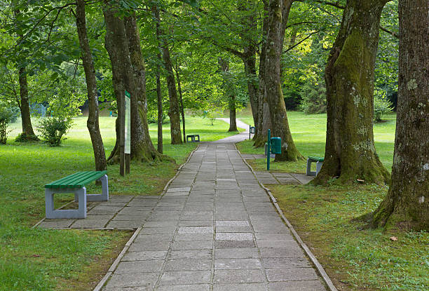 istock Paved Lane in the Woods 578804054