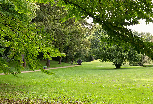 istock Path at the Boundary of a Wood in a Park 578804322