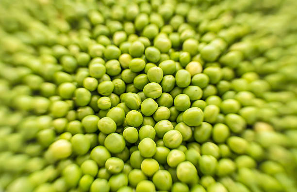 Fresh Green Pea