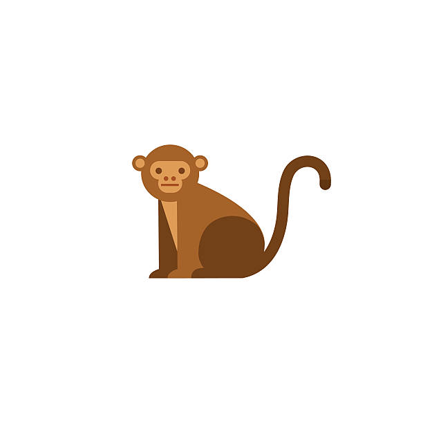 Monkey icon Cute monkey icon. Vector illustration isolated on a white background. monkey stock illustrations
