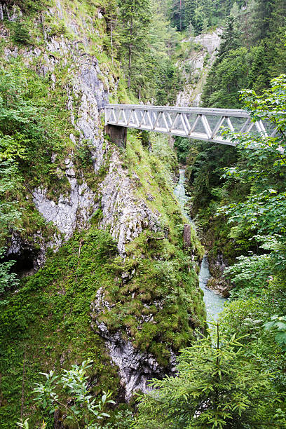 istock Bridge accross the Leutasch gorge 578810110