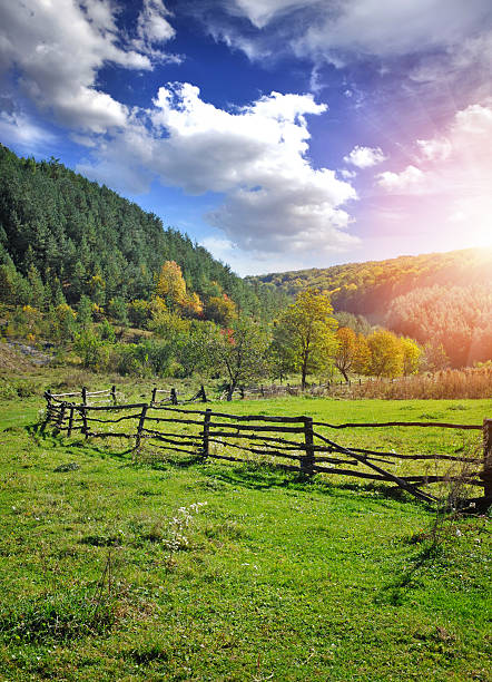 istock Rural landscape in autumn 578810722