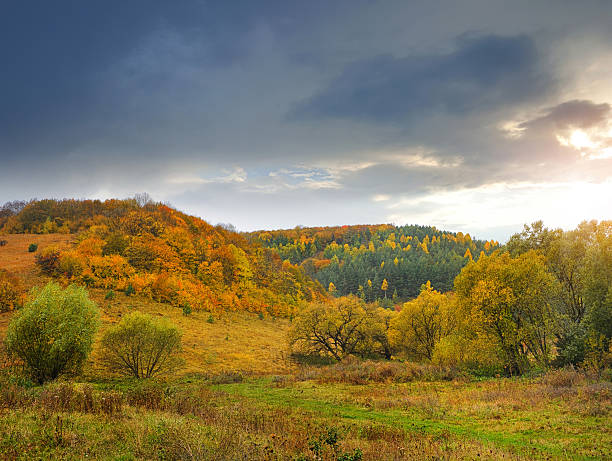 istock Autumn evening with a colorful forest 578811244