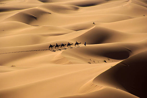 en medio del desierto - morocco desert camel africa fotografías e imágenes de stock