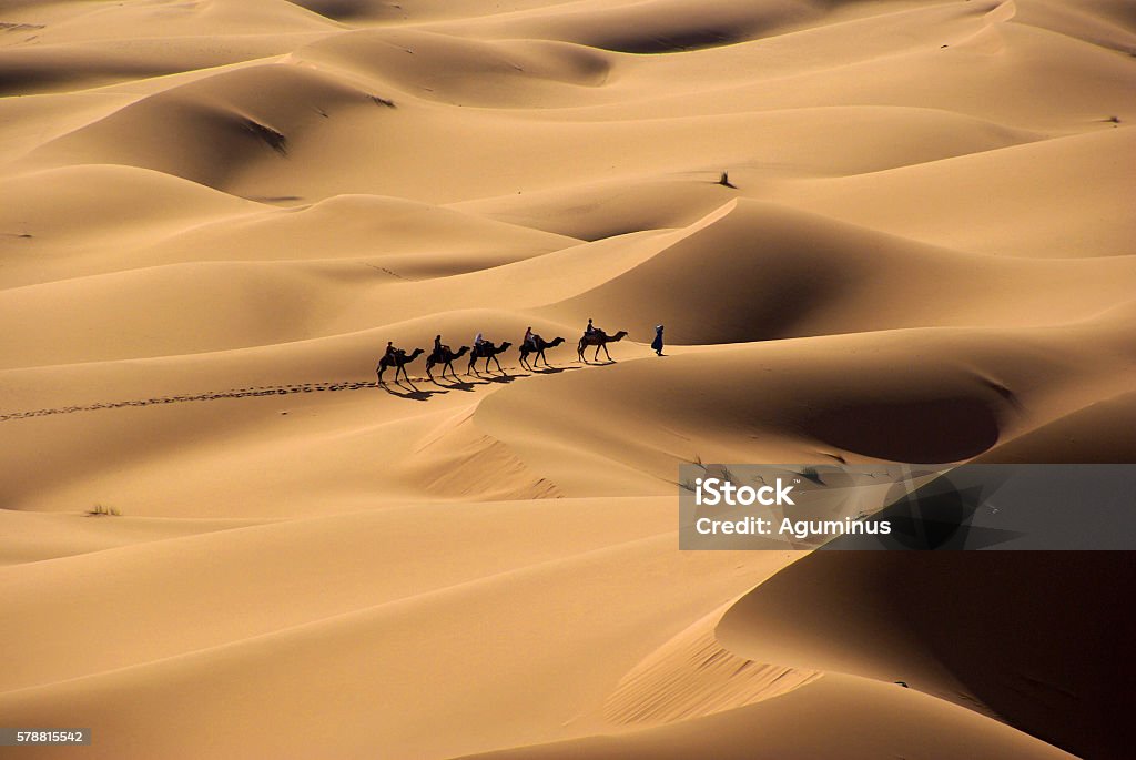 In middle of the desert Camel trekking in Morocco Desert Area Stock Photo