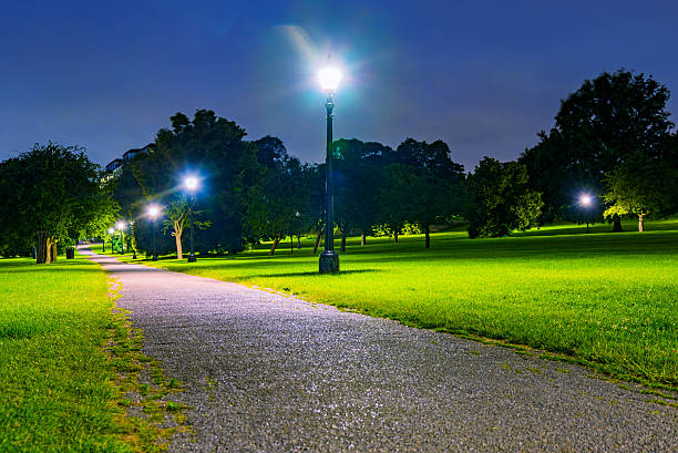 istock Night time in primrose Hill park 578816844