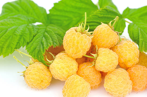 istock Fresh yellow raspberries with leafs on white background 578818848