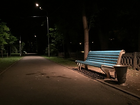 bench in the park , night, linear perspective , and road lights. park