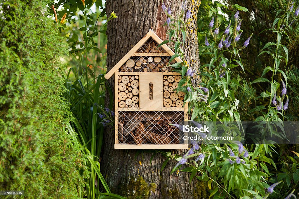 Insect house Insect house in the garden, protection for insects, insekten hotel. Hotel Stock Photo