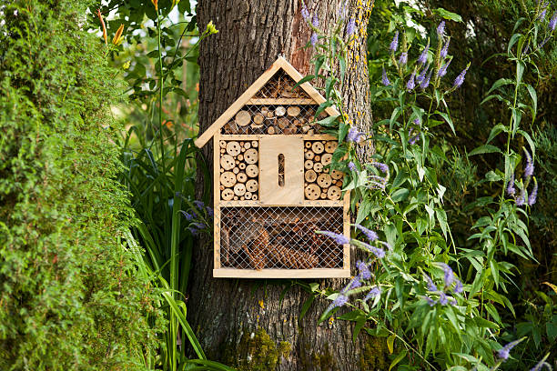 Insect house Insect house in the garden, protection for insects, insekten hotel. bugs stock pictures, royalty-free photos & images