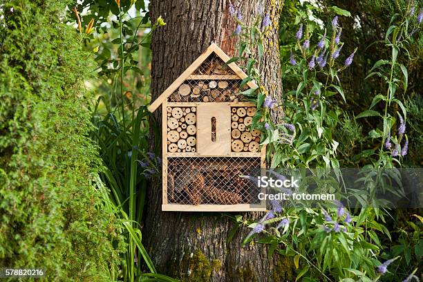 Insect House Stock Photo - Download Image Now - Hotel, Insect, Bee