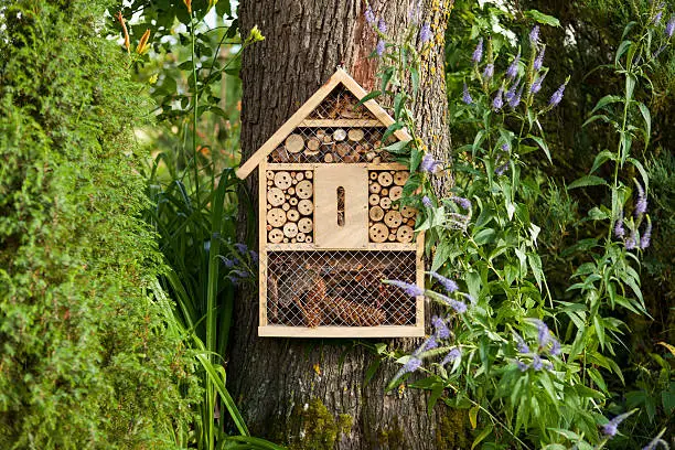 Insect house in the garden, protection for insects, insekten hotel.
