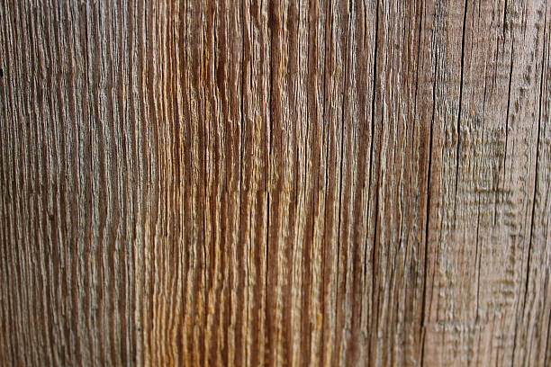 Texture of the old dry pine boards 19957 stock photo