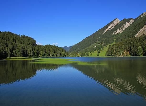 istock Summer landscape at lake Obersee 578824782