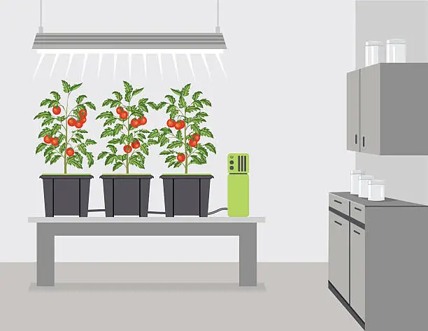 Vector illustration of IoT Hydroponic Growing