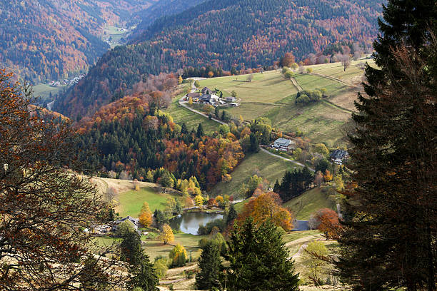 vallée jaune-vert - triberg photos et images de collection