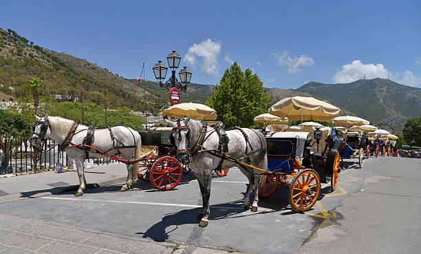 Mijas village scene. Costa del sol Spain. Pony and Donky taxis in the beautiful Mijas pueblo ( village ) Also known as the white village. Nestled in the hills above Fuengirola on the Costa del sol Andalucia Spain. mijas pueblo stock pictures, royalty-free photos & images