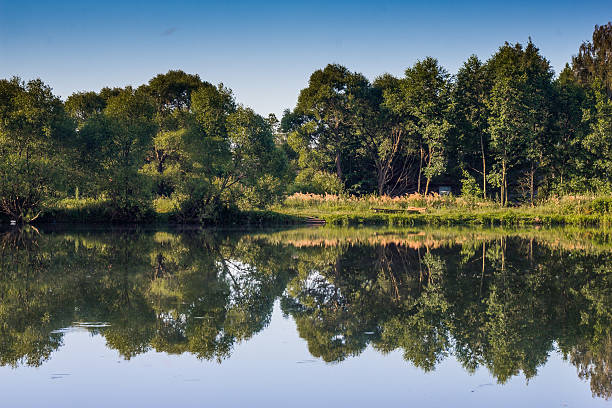istock reflection of trees in water 578830566
