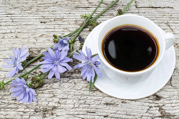istock Drink from chicory and blooming chicory 578831560